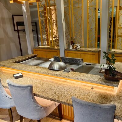 Tavolo grill Teppanyaki commerciale con acciaio legato per uso alimentare e riscaldamento elettrico/a gas, dimensioni 1200*850*800mm